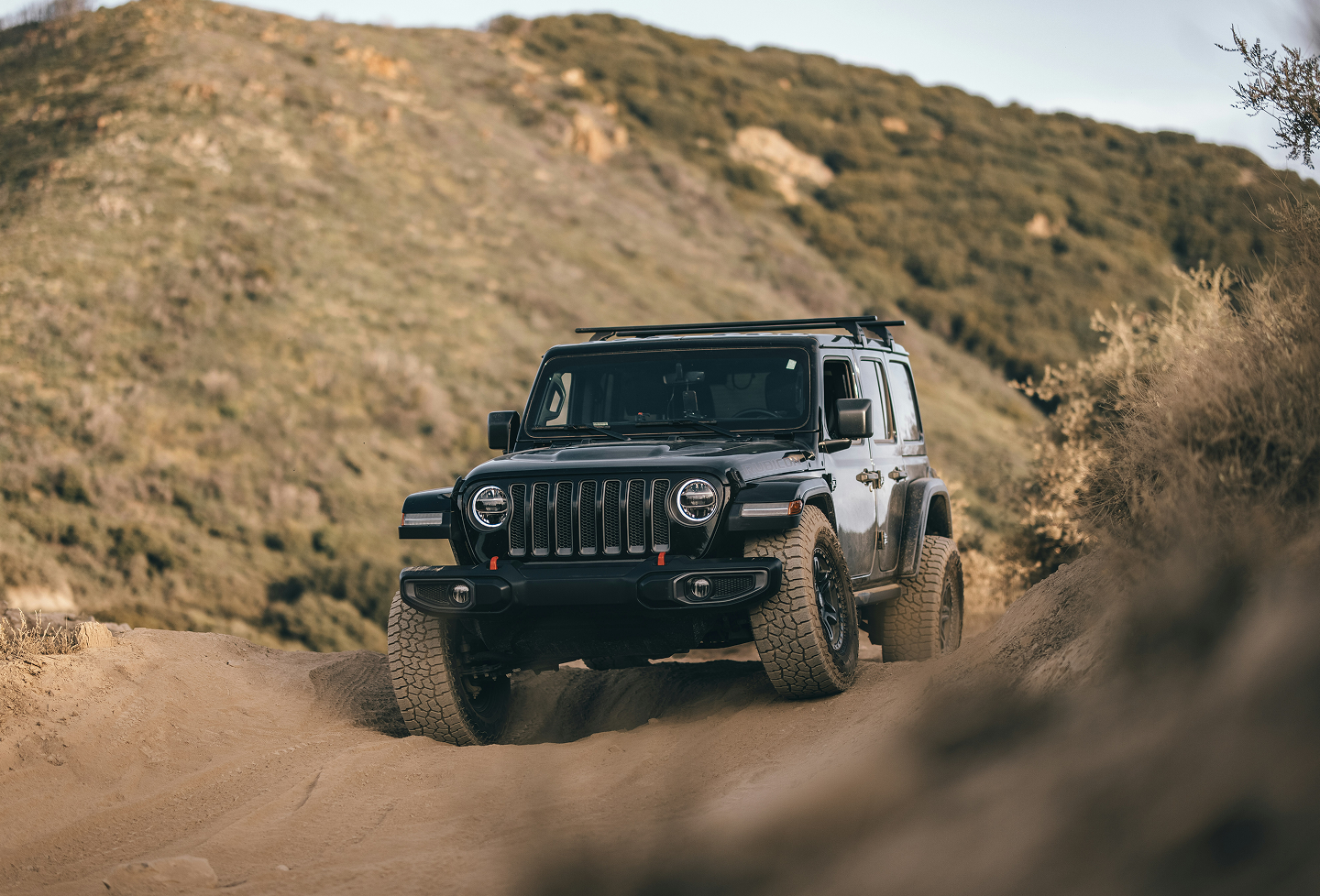 Flamingo Experiences video placeholder